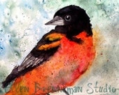 Northern Oriole watercolor print by Ellen Brenneman