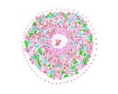 Floral illustration bouquet flowers leaves circular illustration a4 print. digital archival art print.