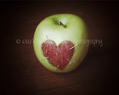 Kitchen Food Apple Red Heart Green Art Photograph 8x10 Still Life Photography Food Photography
