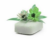 Eucalyptus Spearmint Essential Oil Soaps - Organic Soaps - Vegan Soaps - Aromatherapy Soaps - All Natural Soaps - Bath And Beauty