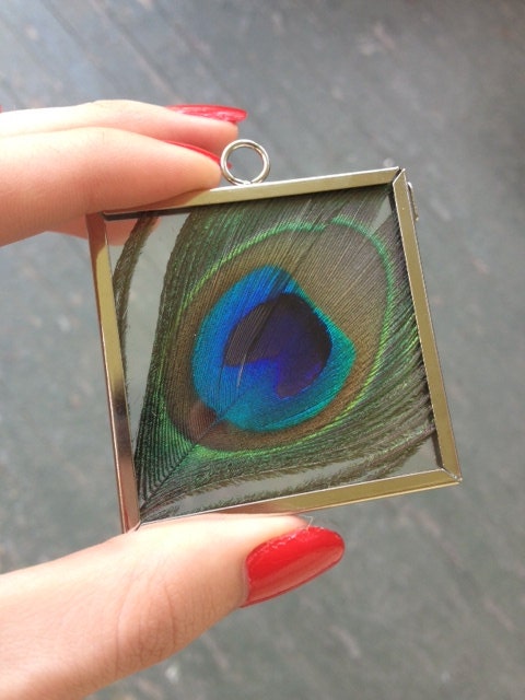 Peacock Feather Window Locket - FREE DOMESTIC SHIPPING