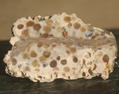 Petrified Coral Stone Knob - Stone, Cabinet Knob, Kitchen, Furniture, Bathroom, Fixture