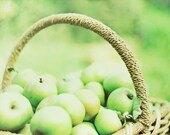Ringo 6x9". Vibrant, green, apples, basket of fruit, summer, English fruit picking. Fine art film photography print by Indea Vanmerlin