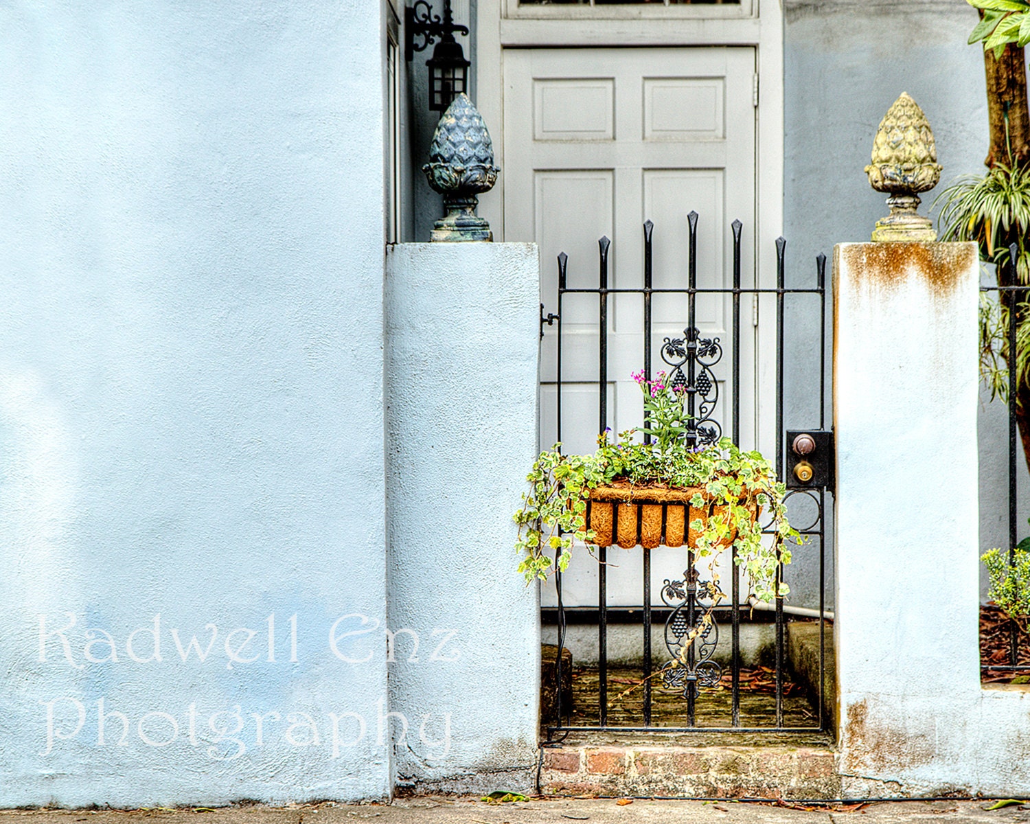 Garden Door in Charleston South Carolina Photography 8x10 Southern Art Blue City Urban Art