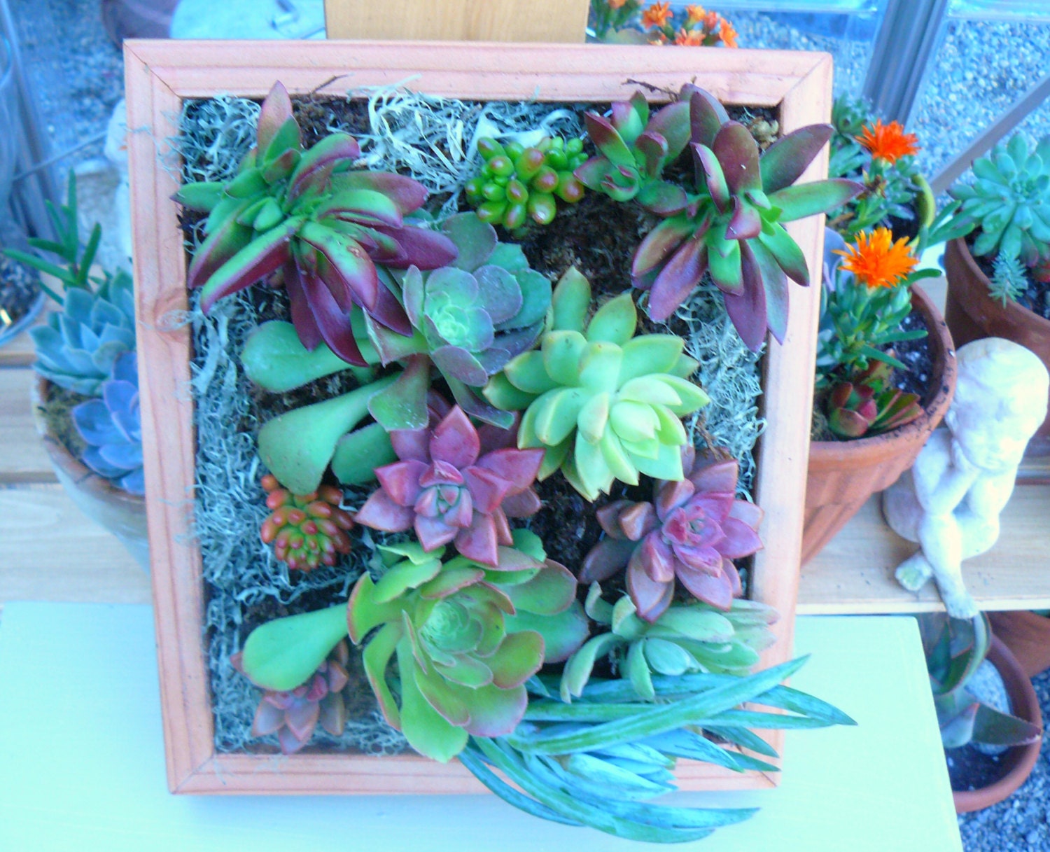 8.5 X 10 Living Wall Art, Vertical Succulent Garden, Garden Frame, Succulent Wall Art, Vertical Succulent Planter, Succulent Planter