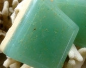 Summer Cooler Peppermint Oatmeal Loofah Vegan Soap Set of 2