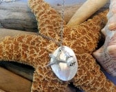 Sterling Silver Chain MOP Shell Pendant Starfish Pearl Swarovski Crystal Clear AB Beach Necklace
