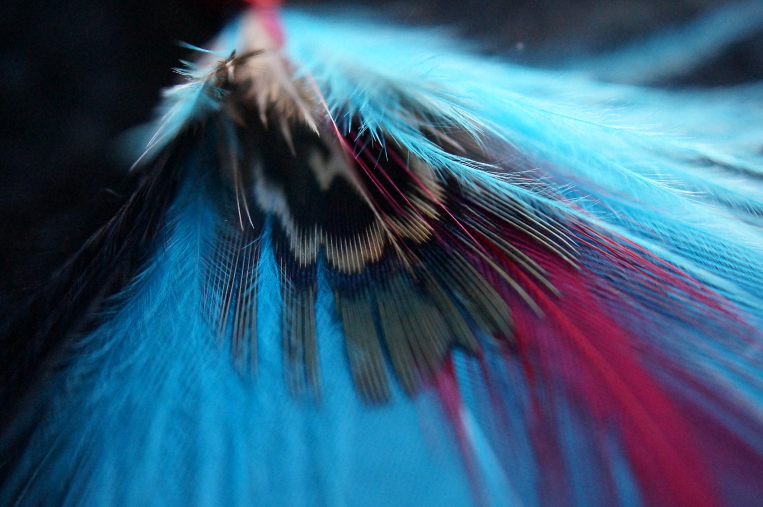 Multicoloured Turquoise Red and Black Wire Wrapped Feather Beaded Earrings - AMagpiesDesires Multicoloured Turquoise Red and Black Wire Wrapped Feather Beaded Earrings - AMagpiesDesires