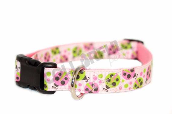 Ladybug Pink/Green Medium Nylon Adjustable Buckle Dog Collar