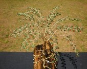 Handmade Wire Tree on Driftwood Base, Sculpture - Original