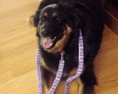Purple Dog Leash for Large Breeds Four Foot Length Variegated Purple