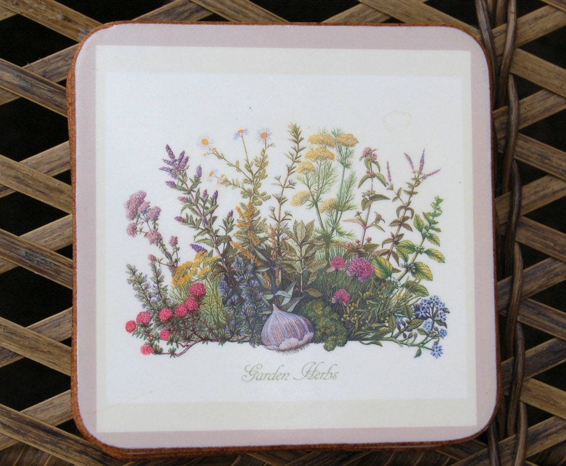 Buy garden herbs - Pimpernel Coaster Set of 6 Identical - Garden Herbs
