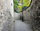 Oxford Photography 8x10 Fine Art Print - Oxford Alley Photograph, Architecture Photography, Travel Photo - Gray Green Wall Art