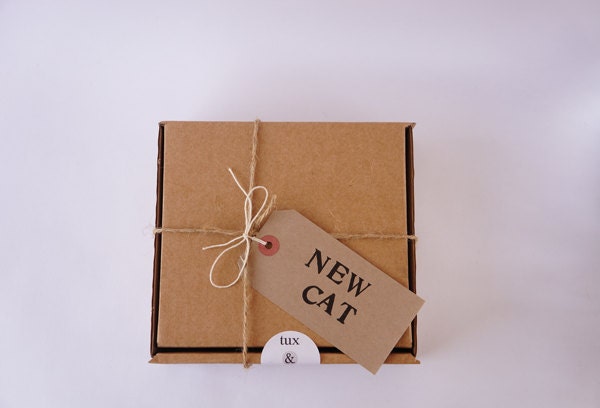Handmade cat toys // knit gray mouse, felted jingle ball, cat treats // New Cat Box