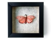 Personalized Shadowbox Art 3D Clay Moth with Watercolor Wings