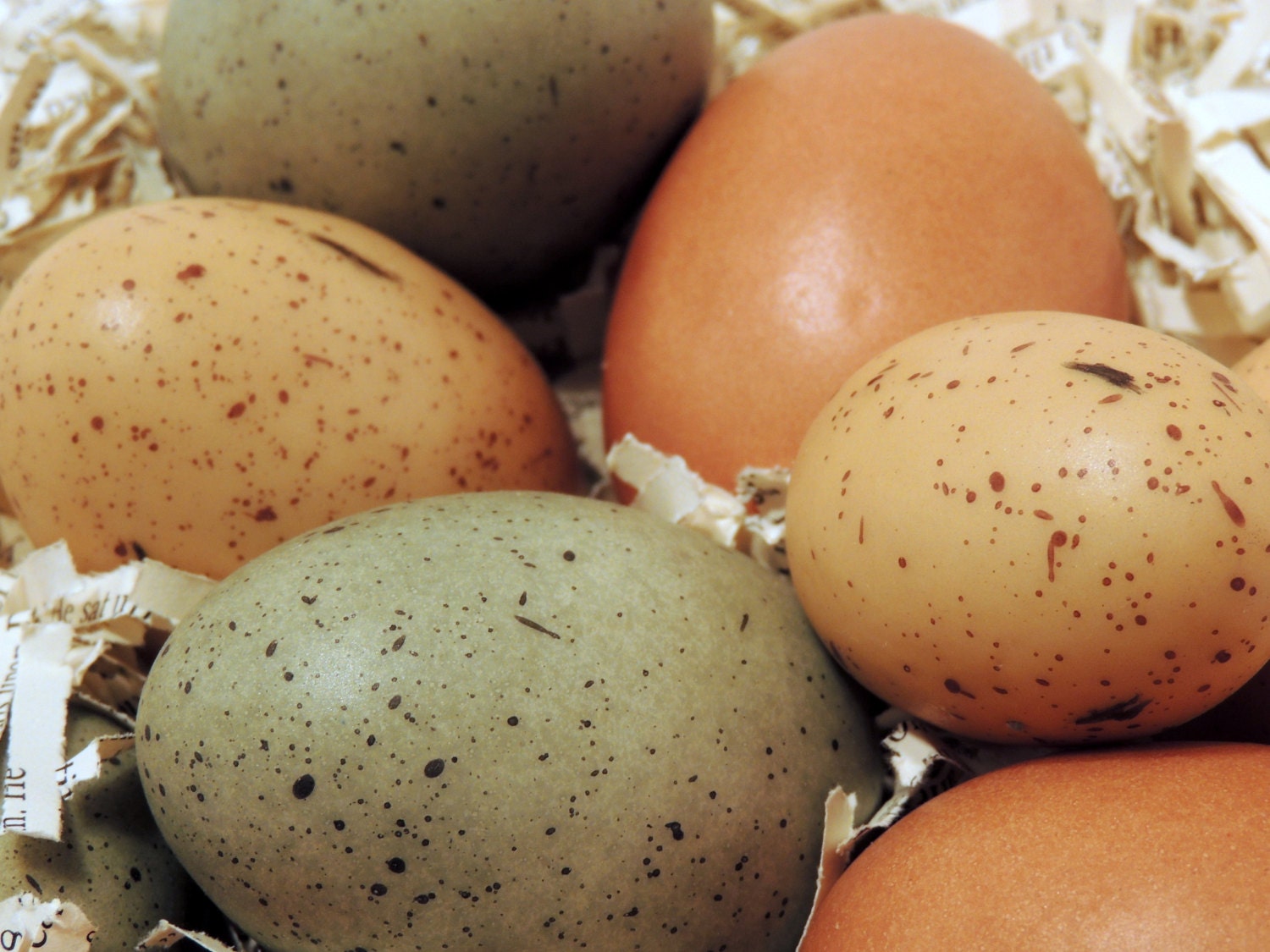 Faux Easter Eggs Speckled Blue Brown & Tan Eggs by SoireeSupply