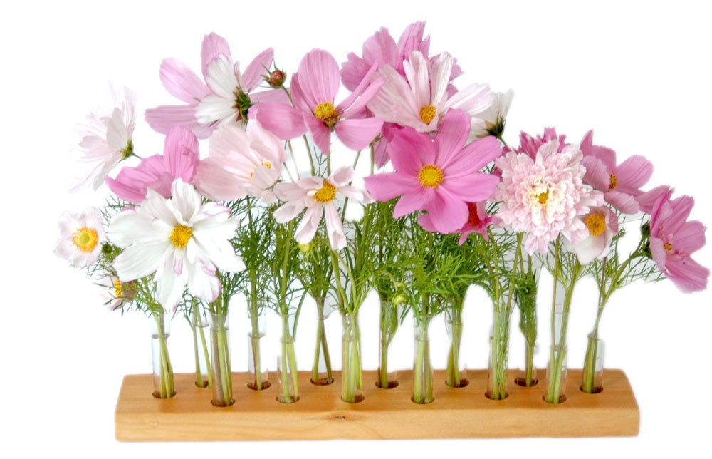 wood vase romatic