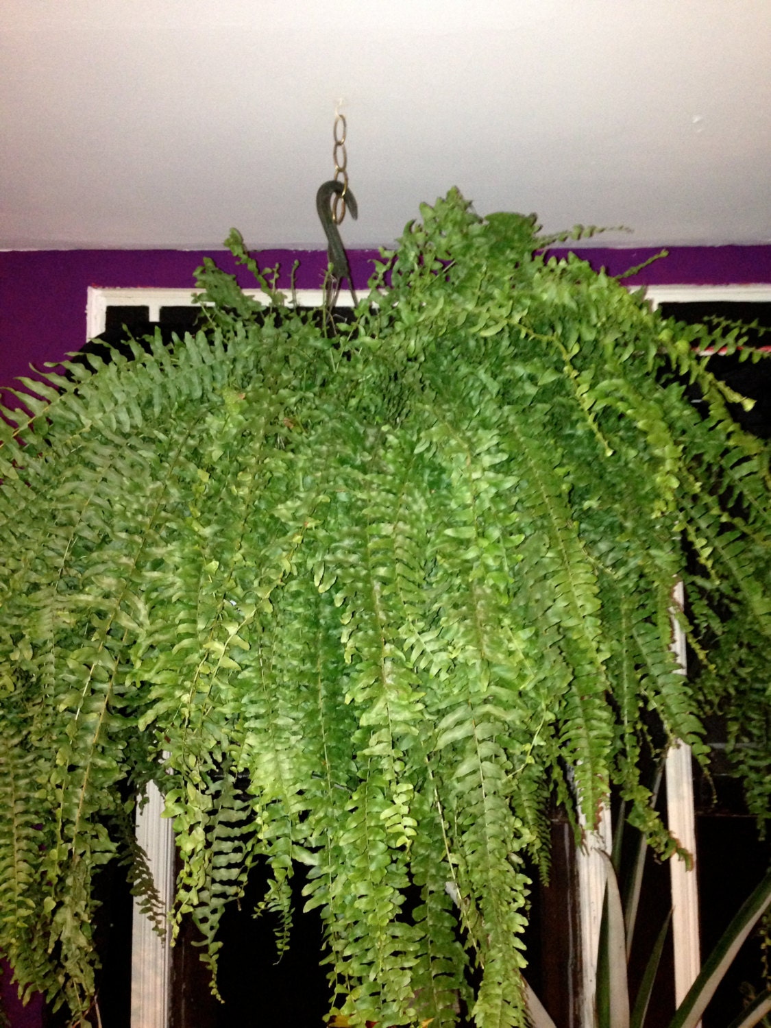 Etsy Your place to buy and sell all things handmade, vintage, and supplies