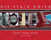 Personalized Illinois State University Framed Letter Art Print - Customized College Print - NCAA-CLA