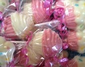 Chocolate Cupckae Lollipops (1 dozen)