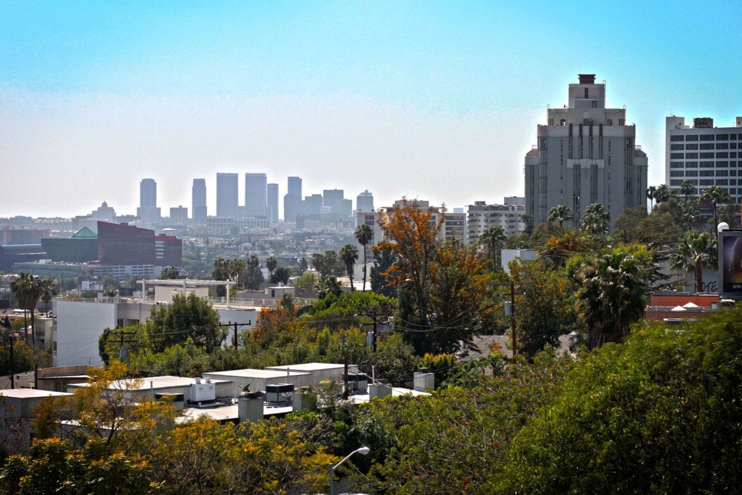 Nature Photography, Downtown Los Angeles