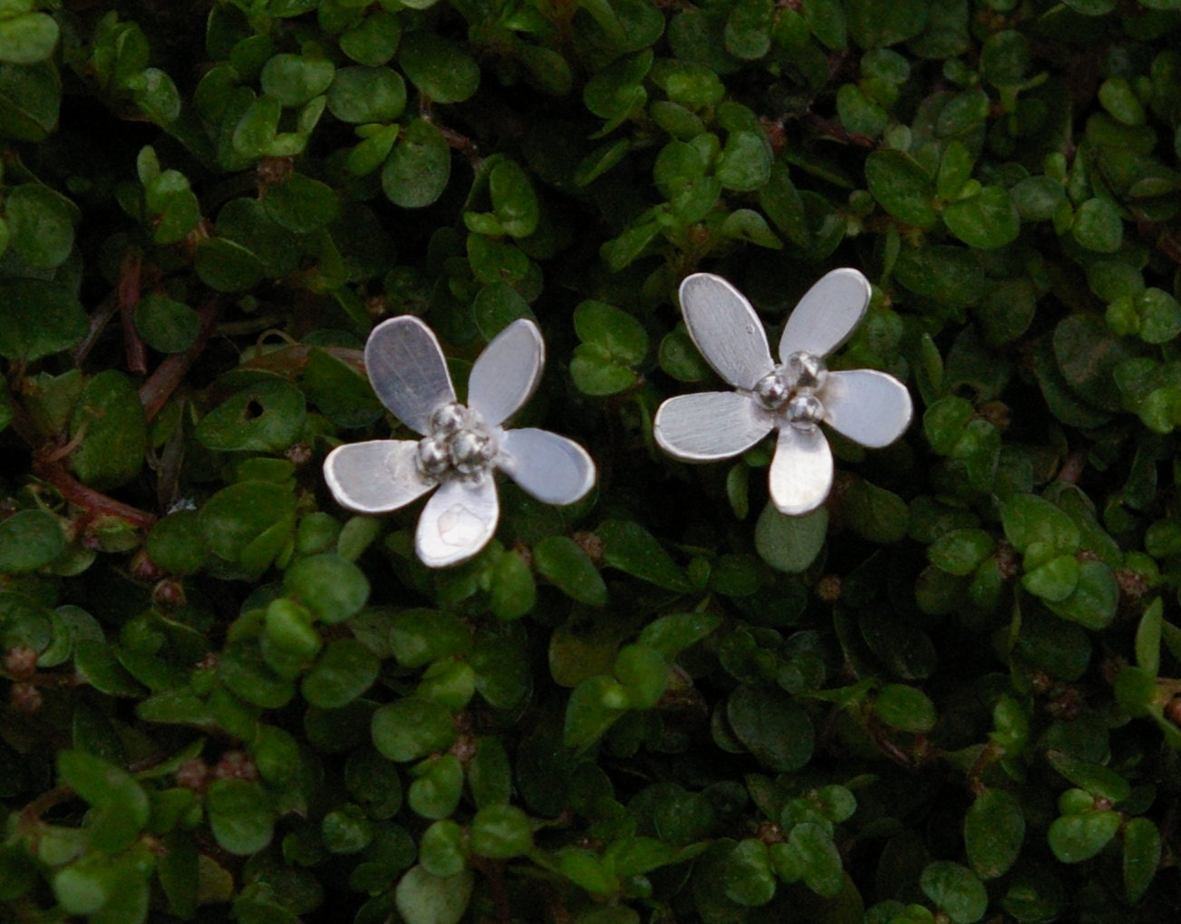 Pâquerettes- Boucles d'oreilles en argent 925 millièmes