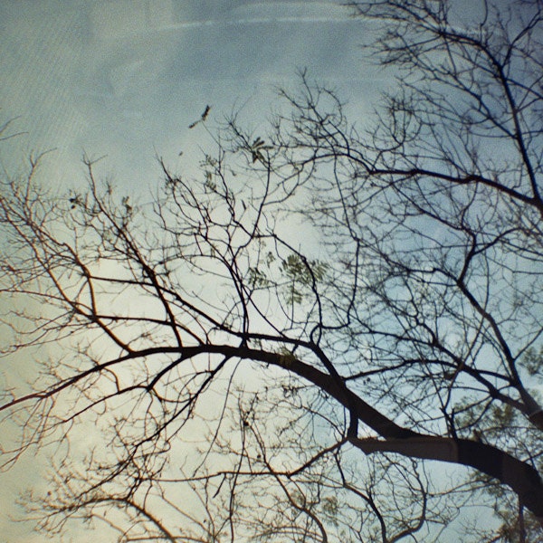 40 days in Barcelona- 35mm Diana mini film
