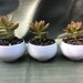 3 White Glass Succulent Pot Set