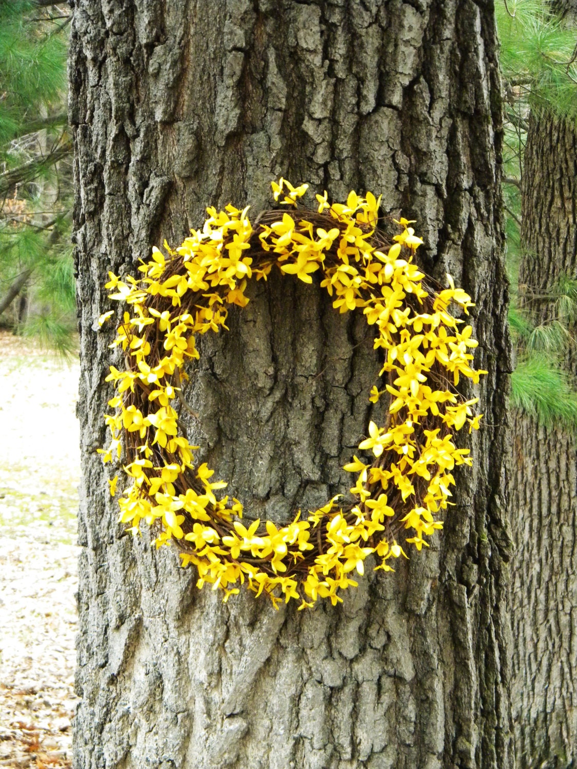 Spring Wreath, Summer Wreath, Handmade Wreaths, Yellow Wreath, Small Wreath, Rustic Home Decor, Country Decor, Grapevine Wreath, Floral