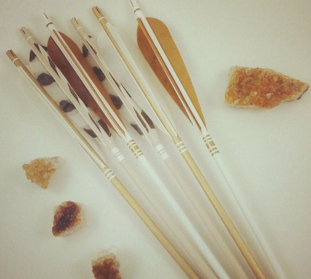 Metallic Gold Arrows with Animal Print Feathers and Gold Feathers Arrow Wall Display in Brown Glass