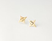 Stardust Earrings
