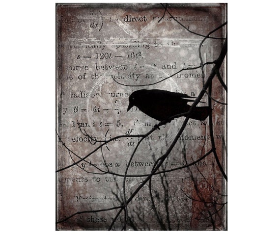 Crow Collage Art Print, Raven, Nature Image - Crow Thoughts