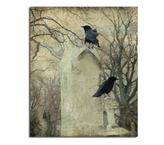 Tombstones, Graveyard Crows, Corvidae, Ravens, Gothic Decor - On A Crooked Cross
