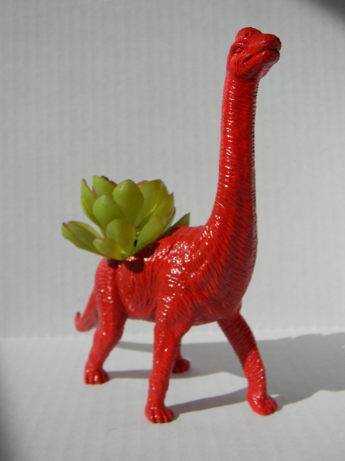 Dinosaur Planter in Red Great for Birthdays Get Well Soon and New Job Gifts