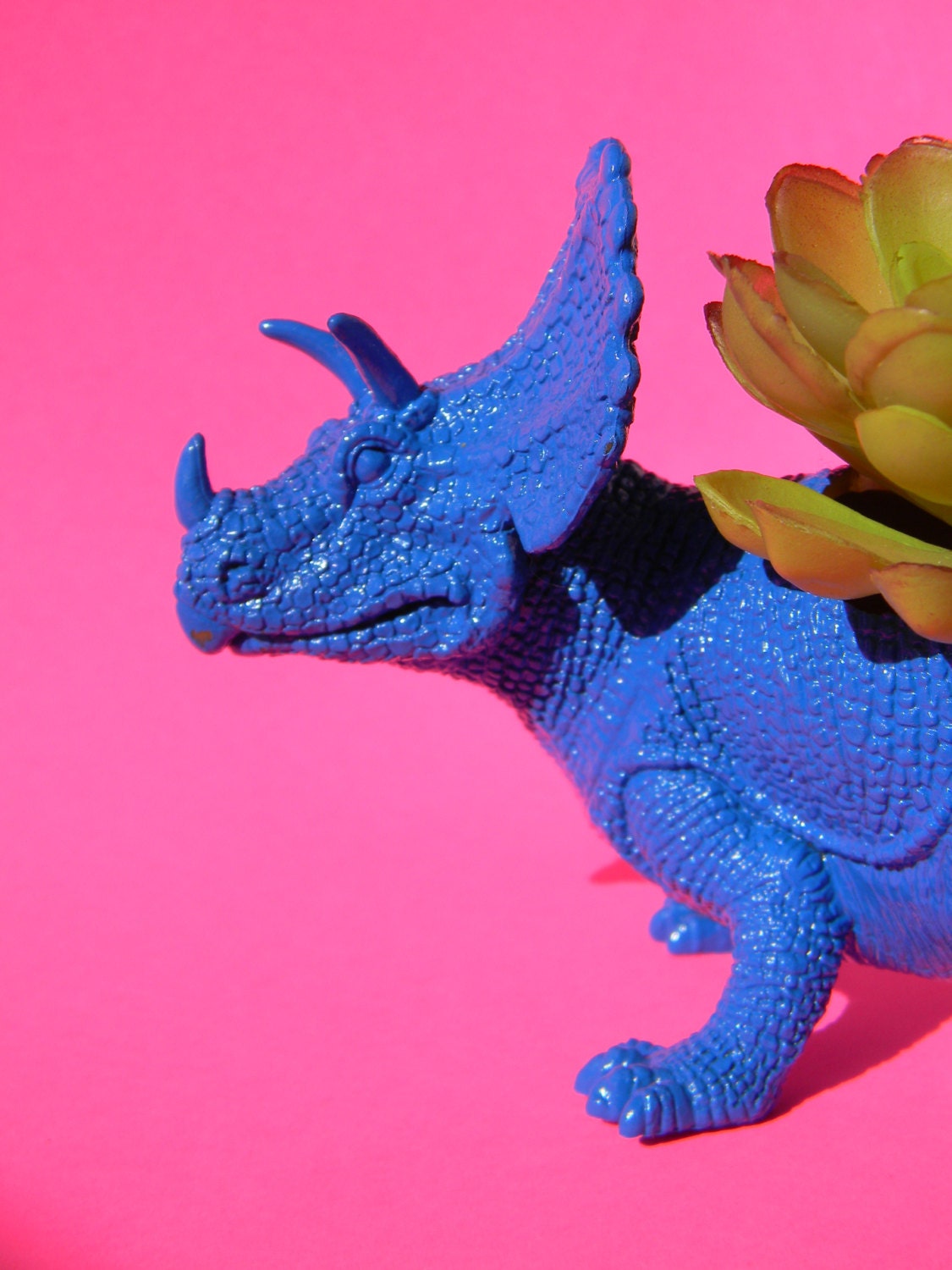 Dinosaur Planter True Blue Neon Succulent Planter Triceratop Great Office Decor