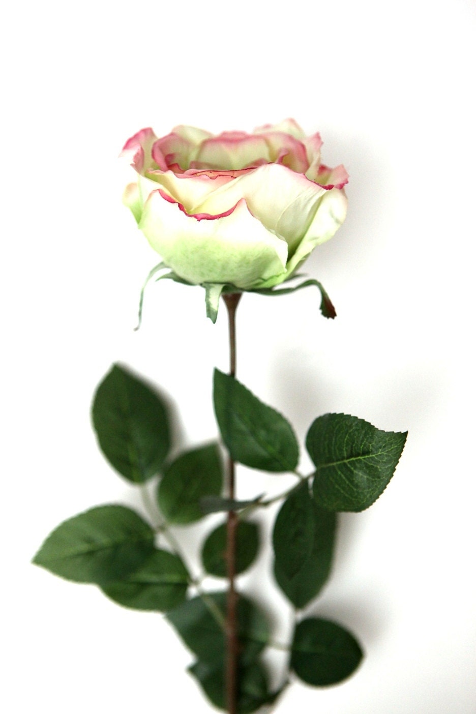 Silk Rose - Large Rose in Lime Green and Pink - ROSE HEAD ONLY