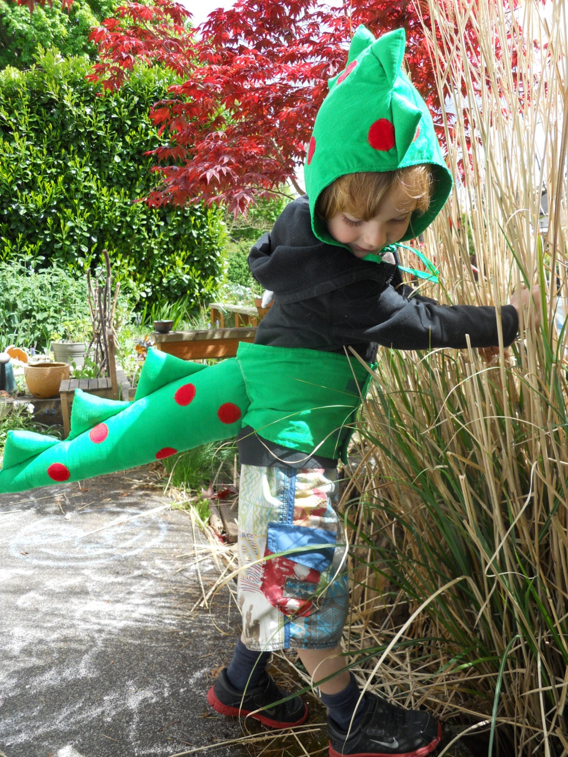 Green and Red Polka Dot Dinosaur/Dragon Tail and hood set