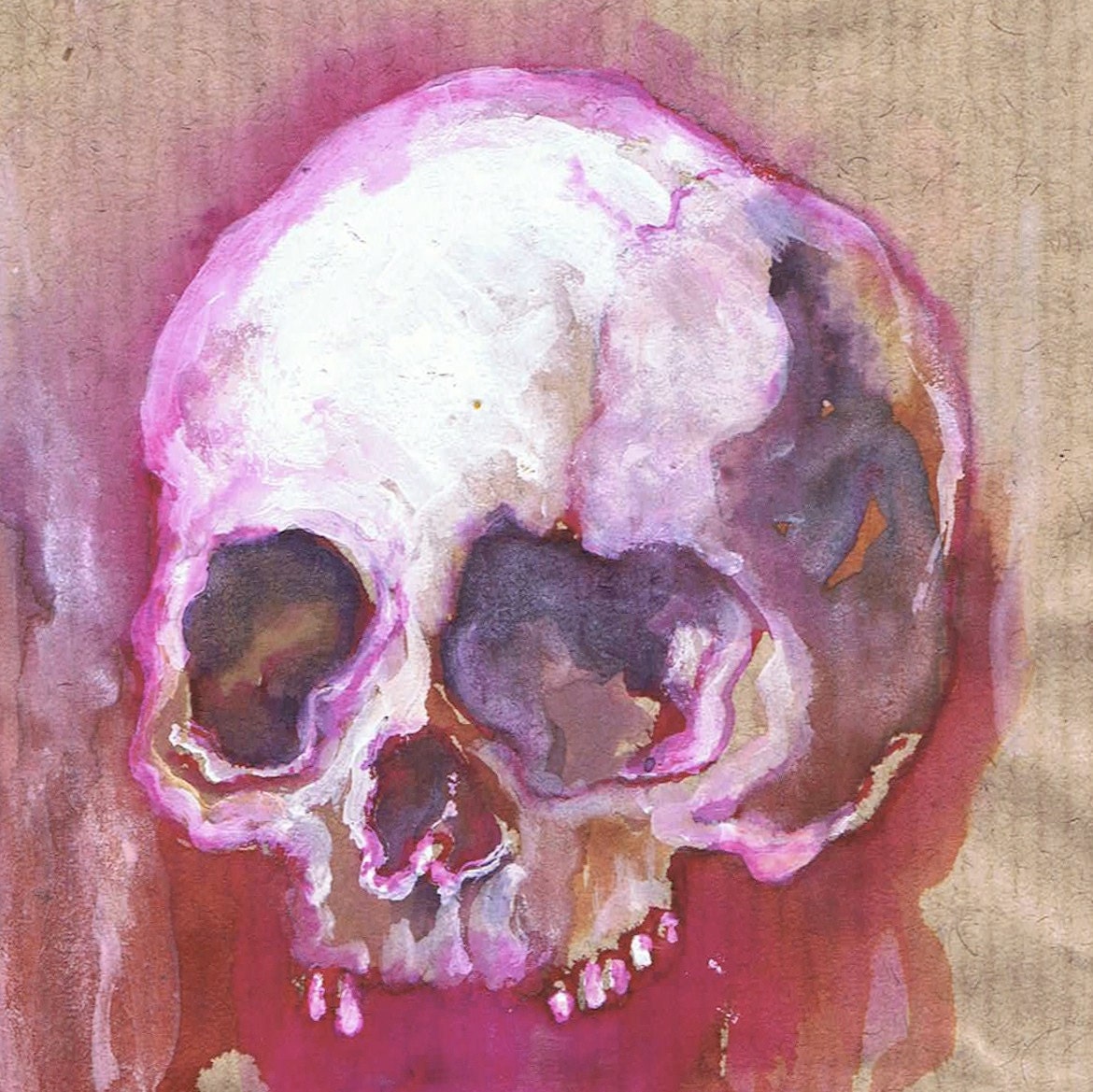 alpine rose skull
