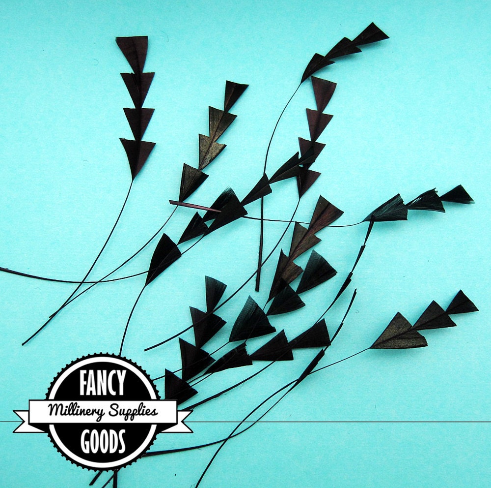 12 - Black Irridescent -  Hand Cut - Stripped -  Coque - Feathers