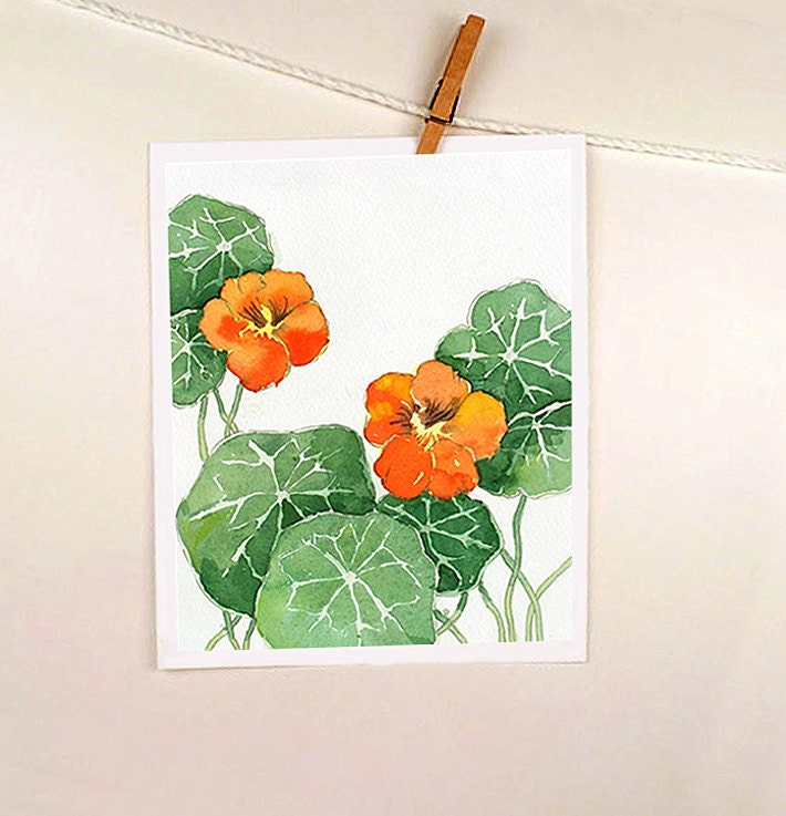 Nasturtiums Flower Watercolor Painting Print - Mother's Day - Orange Flower Art, Floral Art, Nature Art - Women, Green - 8 x 8