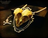 Bird Skull Necklace with Skull Charm, Heart Shaped Gothic Necklace, Victorian Jewelry, Taxidermy Necklace