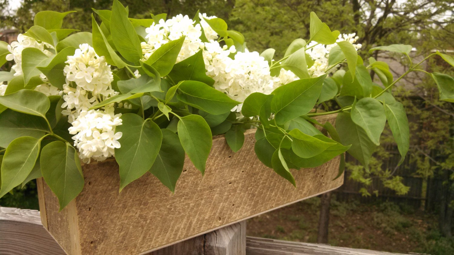 Reclaimed and Recycled Barn Wood Square 14 inch Long Barn Wood Window Box, Flower box, or Center Piece