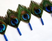 Feather Peacock Boutonniere or Lapel Pin for the Groomsmen with Royal Blue Wrap - SIMPLICITY