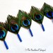 Feather Peacock Boutonniere or Lapel Pin for the Groomsmen with Royal Blue Wrap - SIMPLICITY
