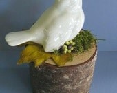 Cottage Chic Decor Vintage Bird Figurine on Tree Trunk Moss Berries