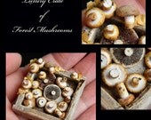 Forest Mushroom Tray  - Artisan fully Handmade Miniature in 12th scale. From After Dark miniatures.