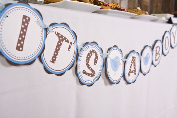 Birdie Themed ITS A BOY Baby Shower Banner, Bird Baby Shower Decorations Blue and Brown