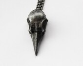 Taxidermy Magpie Bird Skull Black Large Unisex Necklace