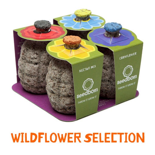 Seedbom 4 Pack - Wildflower Selection