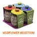 Seedbom 4 Pack - Wildflower Selection